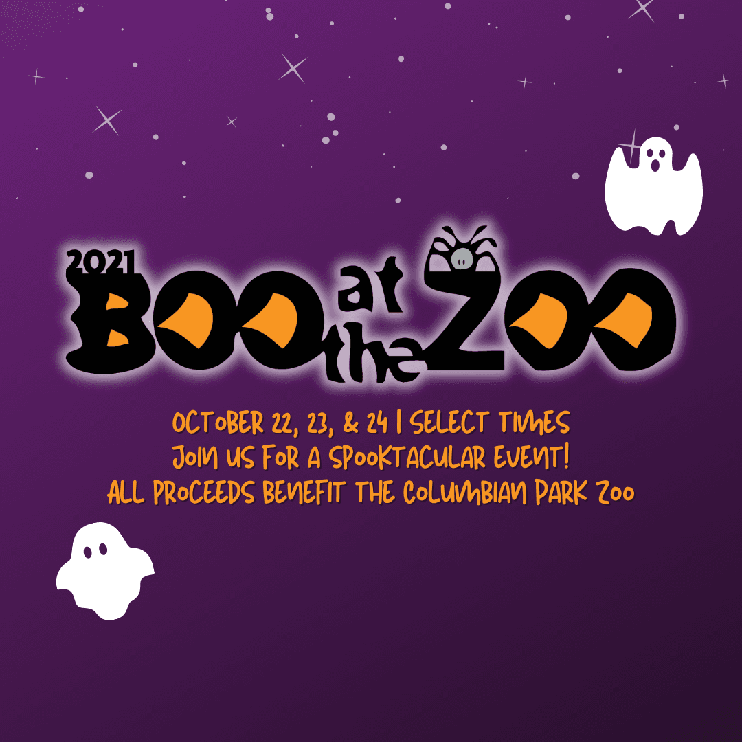 BATZ 2021 insta graphic