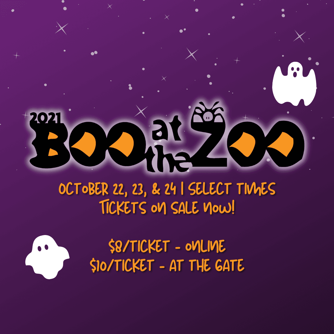 BATZ Tickets Open Now