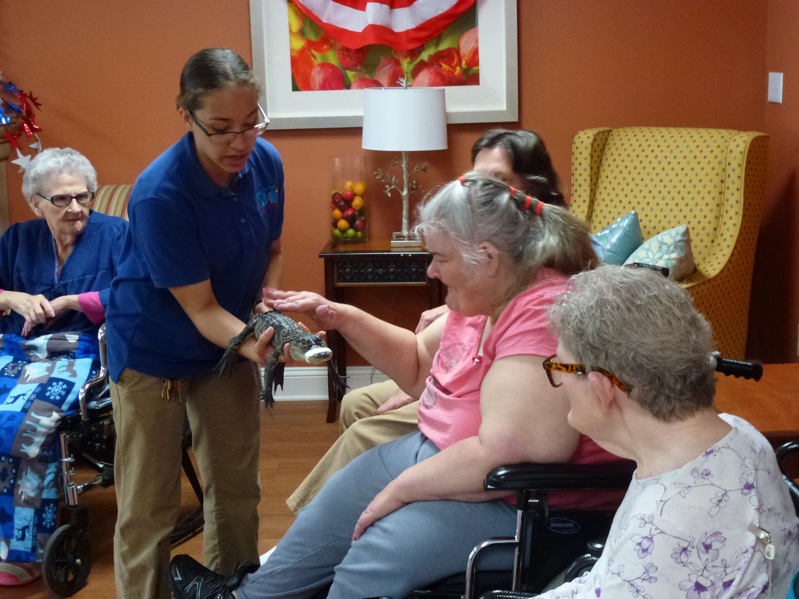 Presenter holds a small alligator for an audience member to touch it along its back