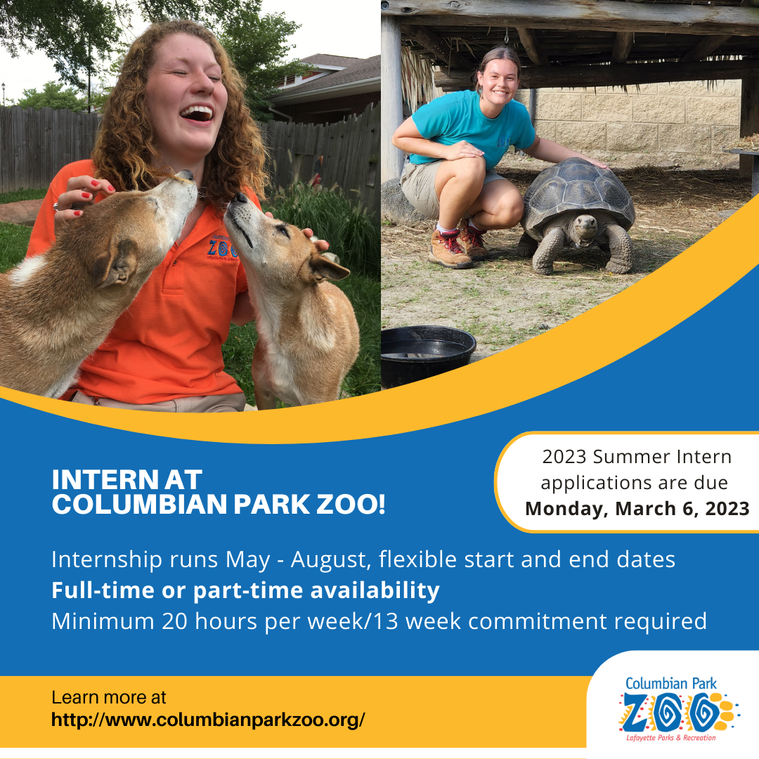 CPZ Intern square  (2)