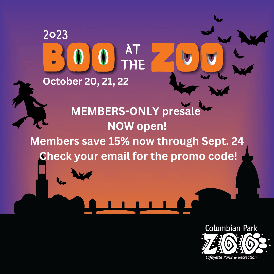 BATZ save-the-date IG square (1)