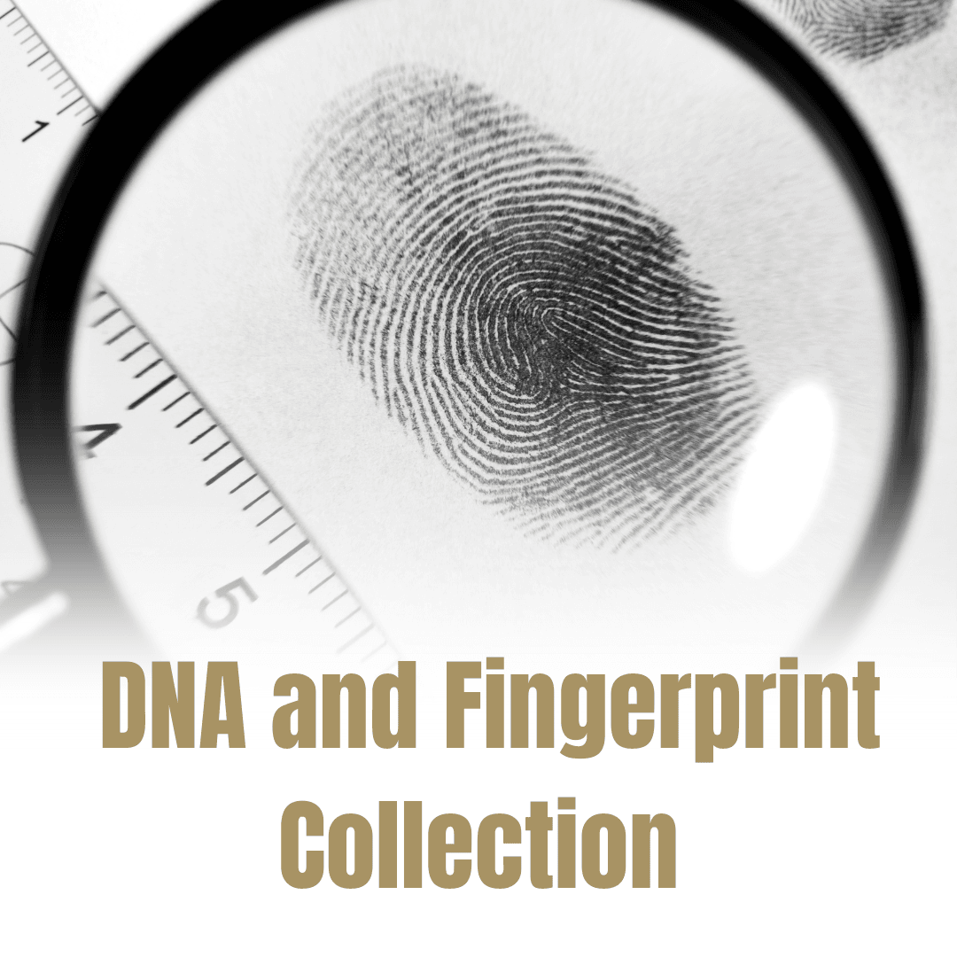 CSI Responsibilities (5)