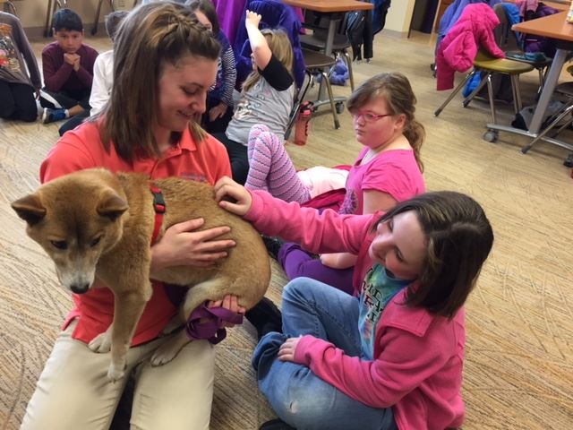 Zoo educator kneels on floor holding a New Guinea singing dog, allowing campers to touch its back