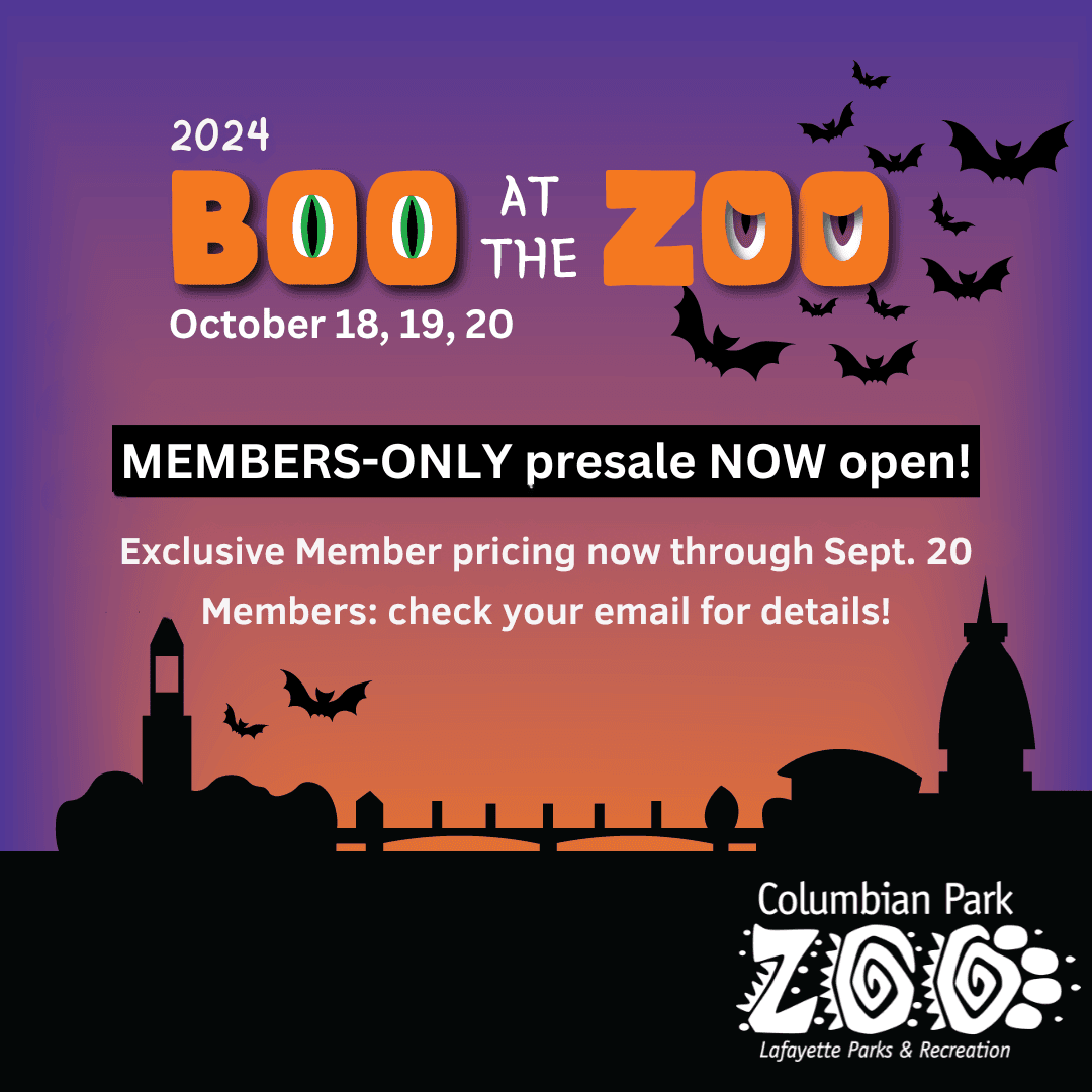 BATZ save-the-date IG square (7)