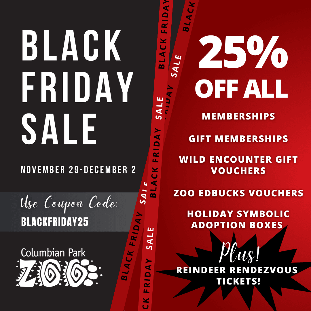 CPZ Black Friday Sale (Instagram Post (Square))