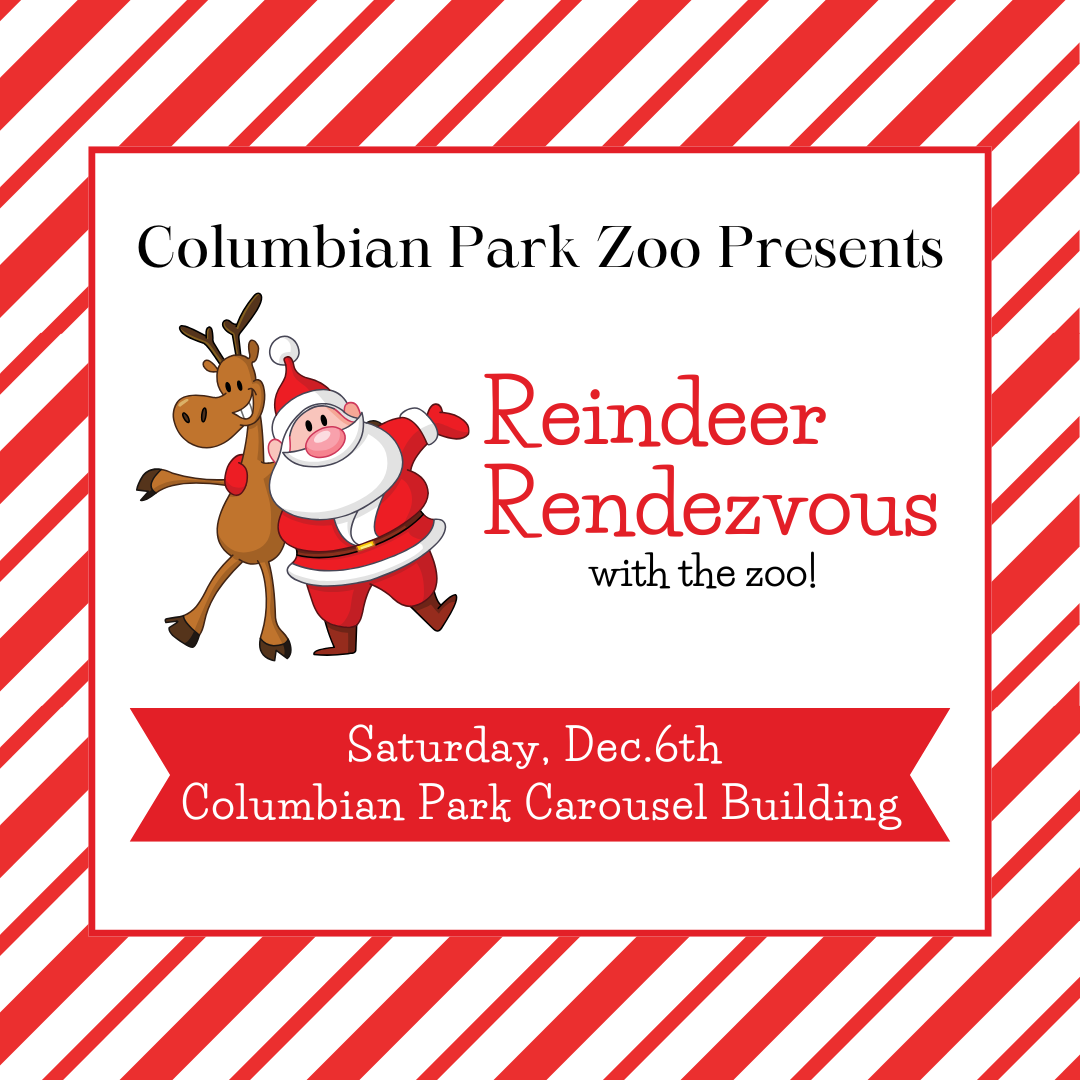 Reindeer Rendezvous SM square 2024 (1)