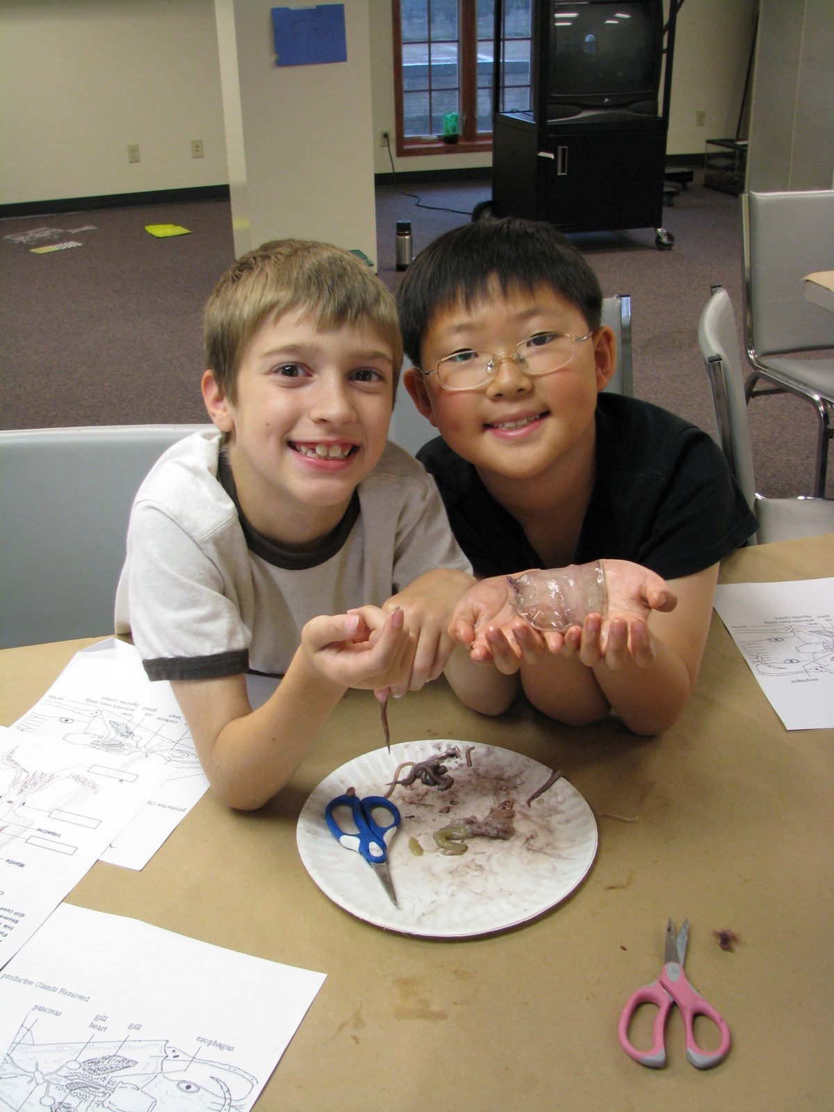 Squid Dissection.jpg